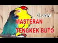 Download Lagu MASTERAN SUARA TENGKEK BUTO ( SLOW SPEED ) 1JAM UNTUK LOVEBIRD MENUJU KONSLET