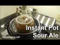 Instant Pot Sour Ale - Basic Brewing