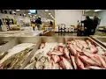 Biggest Fishery in the Bronx NY Fulton Fish Market