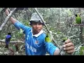 Download Lagu Gak usah di tanya kalau spot belum pernah terjamah 🦜 Burung C ijo nya pull bonus cucak biru