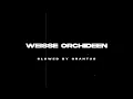 WEISSE ORCHIDEEN - SAMRA🌹PERFECTLY SLOWED​