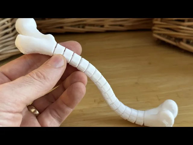 Fidget Femur video thumbnail