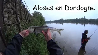 la fi vre de lalose