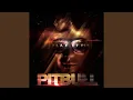 Mr Worldwide Intro
