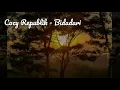 Cozy Republik - Bidadari (Lirik)