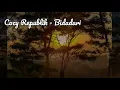 Download Lagu Cozy Republik - Bidadari (Lirik)