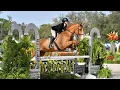Dillem NHS Hamel Medal HITS Ocala February 2024