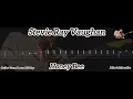 Stevie Ray Vaughan - Honey Bee ( Tab Guitar )