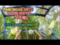 Download Lagu Pancingan sirtu/cipoh Gacor, BIKIN EMOSI SIRPU LAIN