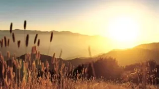 ابداعات خالد جليل سورة يوسف 