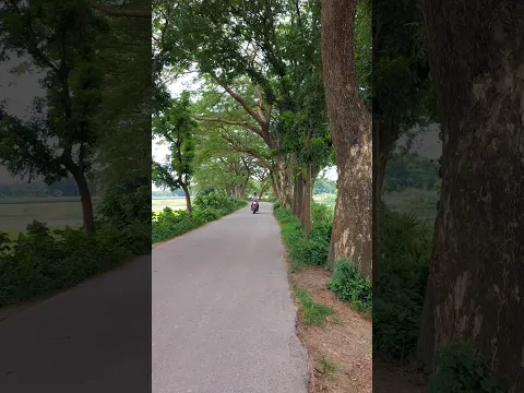 বাংলাদেশের প্রাকৃতিক সৌন্দর্য 🇧🇩🌿 মিজানুর রহমান আজহারীর ওয়াজ ❤️ #Bangladesh #Azahari #Shorts