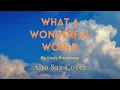 Download Lagu What A Wonderful World (Alto Sax Cover by Joshua)