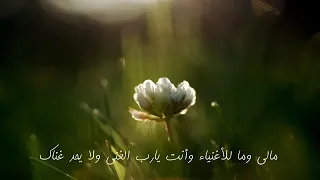 يارب عدت إلي رحابك تائبآ مستسلما مستمسكآ بعراك دندنها