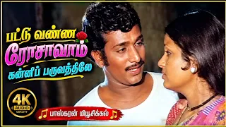 பட்டு வண்ண ரோசாவாம்/ கன்னிப்பருவத்திலே 🌹🌹