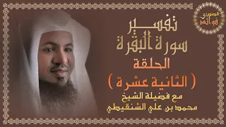 تفسير سورة البقرة 12 من الآية 40 إلى 52 مع فضيلة الشيخ محمد بن علي الشنقيطي قصص وفوائد  تفسير سورة البقرة 12 من الآية 40 إلى 52 مع فضيلة الشيخ محمد بن علي الشنقيطي قصص وفوائد