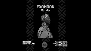dr feel ibhubesi original mix 