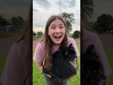 O cãozinho e o patinete 🐶🛴