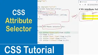 CSS Attribute Selector CSS Tutorial