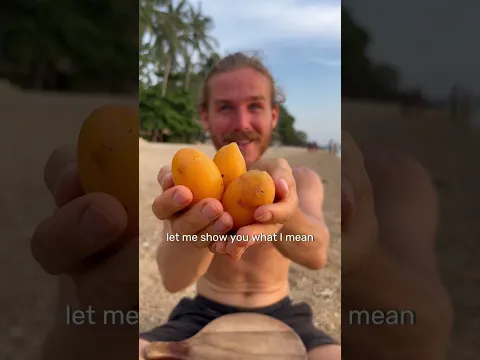 3 Tropical Fruits You Need to Know