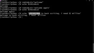 How To Write Quotes in Bash Scripting