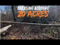 This Is What Holds Deer on my 20 acre parcel