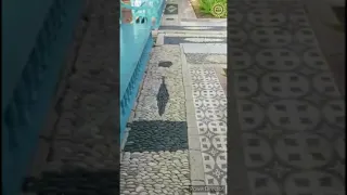 ای ناظر به ملکوت ابهی دندنها