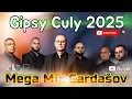 Download Lagu Gipsy Culy 💣MEGA MIX ČARDÁŠOV💣 2025