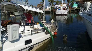 Another Irma victim rises from the grave!