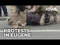 Federal officers use chemical irritants pepper balls on Anti-ICE protest in Eugene witnesses say