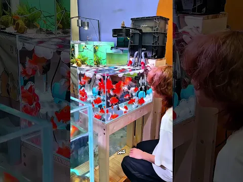 وقعت منه حتة قطن في حوض السمك… ولما رجع اتصدم من المية! 😱🐟💧