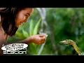 Download Lagu Don't Feed The Dinosaurs! (Opening Scene) | The Lost World: Jurassic Park | Science Fiction Station