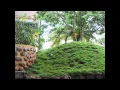 Ivyhouse Tour