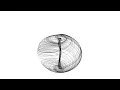 Aizawa Attractor Animation in 3D