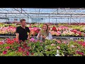 The English Nursery That Supplies Plants to The KING - We Got a Private Tour