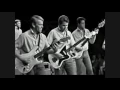 Download Lagu The Beach Boys - Fun Fun Fun (Live!)
