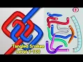 Tangled Snakes Answers All Levels Level 1-100