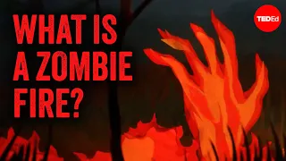 How are these fires burning underground? - Emma Bryce