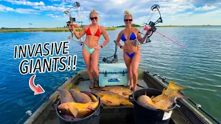 Bow Fishing During the SPAWN For MONSTER INVASIVE FISH They re Everywhere