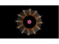 Plexus Creations - Plexus2 plugin for AE