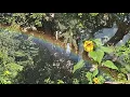 The Astrology of July 24 2026 Social opportunities
