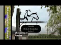Download Lagu Bed and Breakfast in Nuenen - Juroba (aflevering 3)