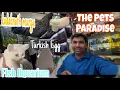 All Pets Paradise Fish Aquarium Cat Sab Tarike Ke Animal Milege Bhopal Animal Shop