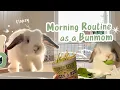 Morning Routine as A Bunmom Daily cleaning harvesting hydroponics and playtime