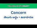Concern meaning in Telugu Dictionary