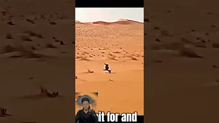 صقر الشاهين ضد النسر الذهبي    معركة جوارح أسطورية لا ت صدق دندنها