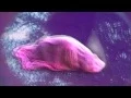 Heavy Boots - So Long