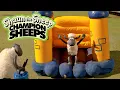 Download Lagu Trampoline 🤸 Championsheeps 🐑 Shaun the Sheep #sport #ShaunTheSheep