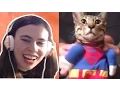 Download Lagu TRY NOT TO LAUGH CHALLENGE - FUNNY CATS FAILS COMPILATION