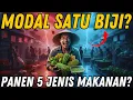 Lagu PROTEIN LEBIH TINGGI DARI KEDELAI? 🌿 5 Jenis Makanan dari 1 Tanaman Ini Sempat \