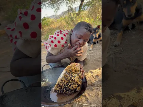 Dudukwe enjoying eating roasted tortoise meat